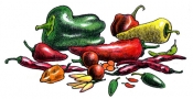 chile_peppers,_colored_chiles,_pepper_pods,_chile_pepper_art,_chile_drawing