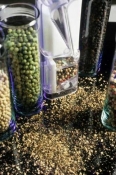Spices
